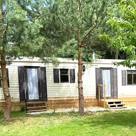 Redwood 1 *
