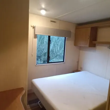 Redwood 1 Semesterpark